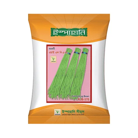 YLB-570 F1 Hybrid Yard Long Bean Seeds - ওয়াই এল বি-৫৭০ হাইব্রিড বরবটি বীজ (High Yielding & Extra Long)