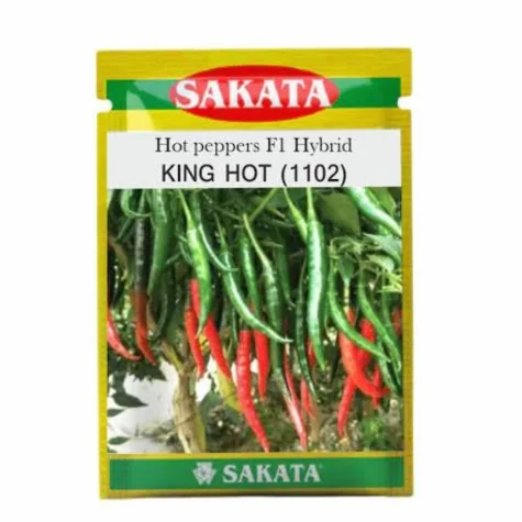 Product Title (প্রোডাক্ট টাইটেল)